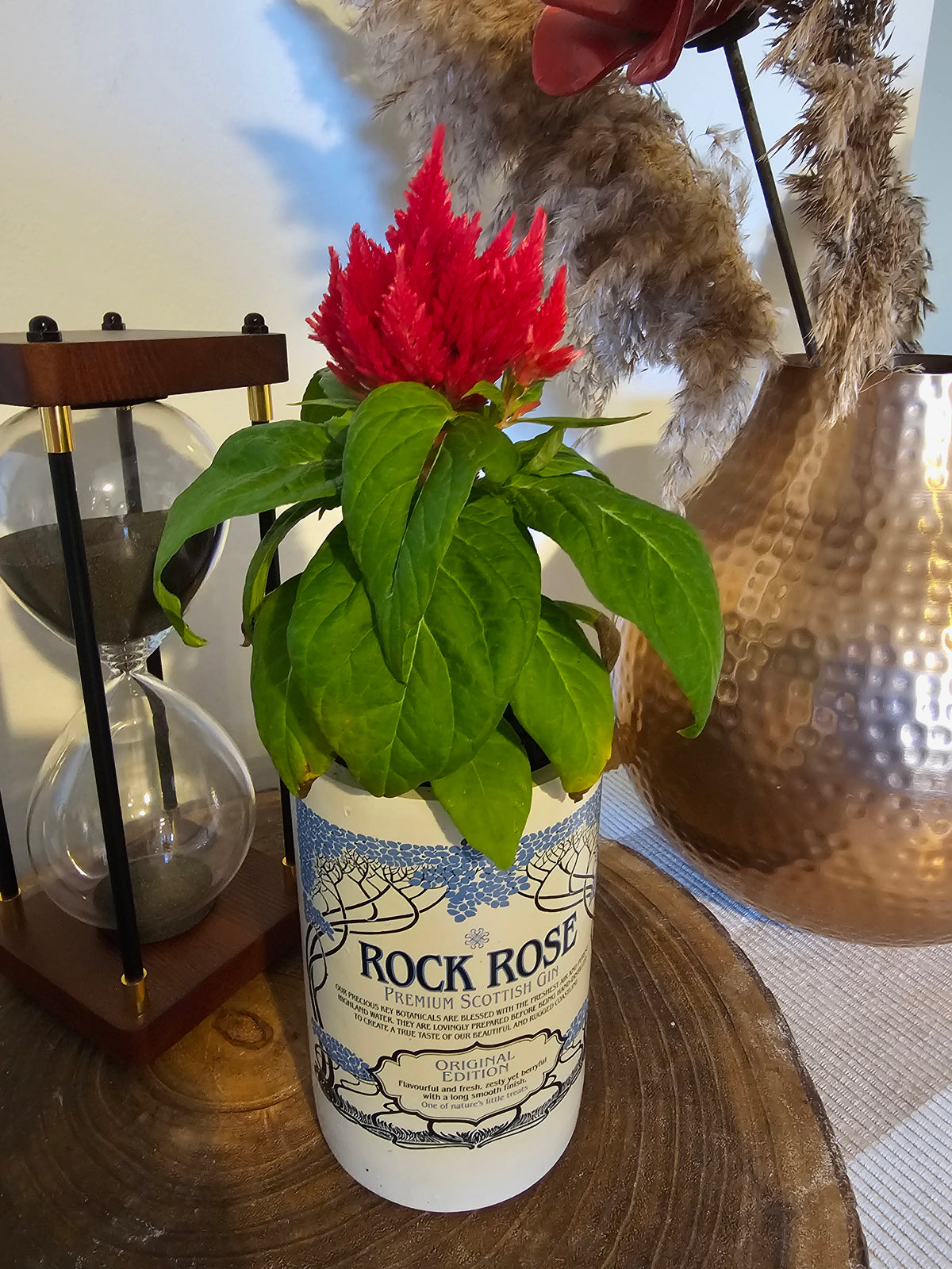 Upcycled Rock Rose Gin Bottle Plant Pot