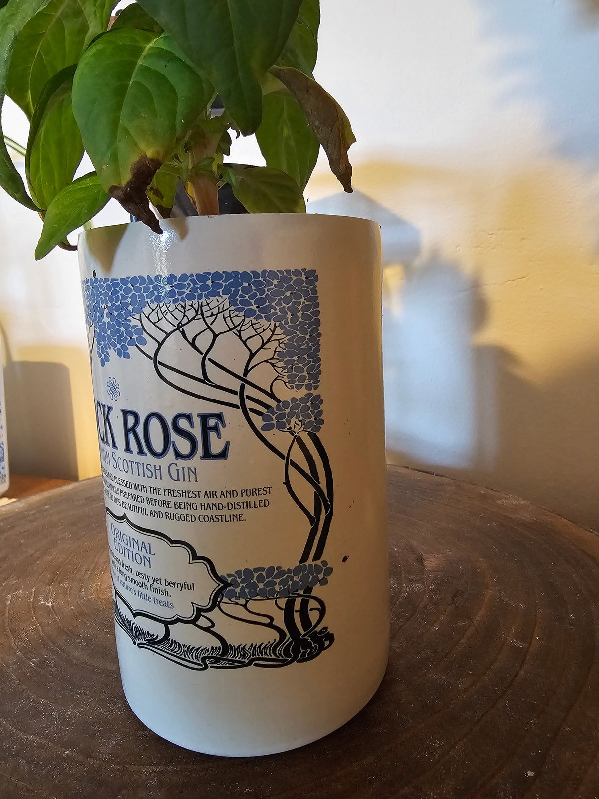 Upcycled Rock Rose Gin Bottle Plant Pot
