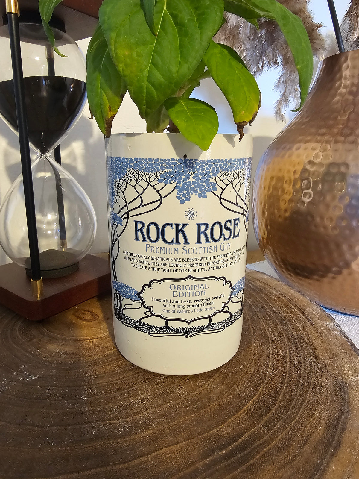 Upcycled Rock Rose Gin Bottle Plant Pot